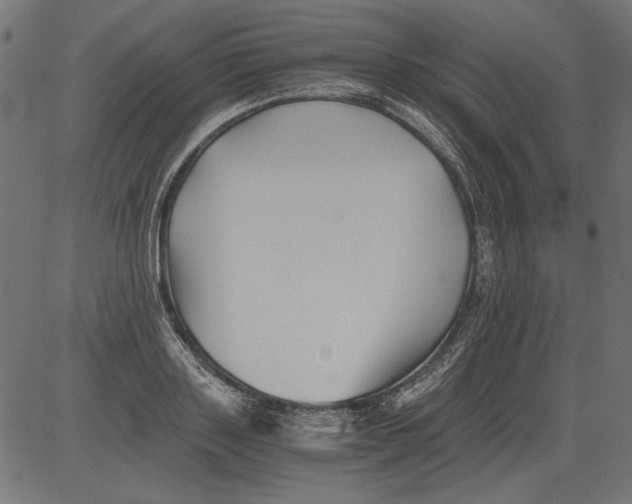 X0000081390843200702020253