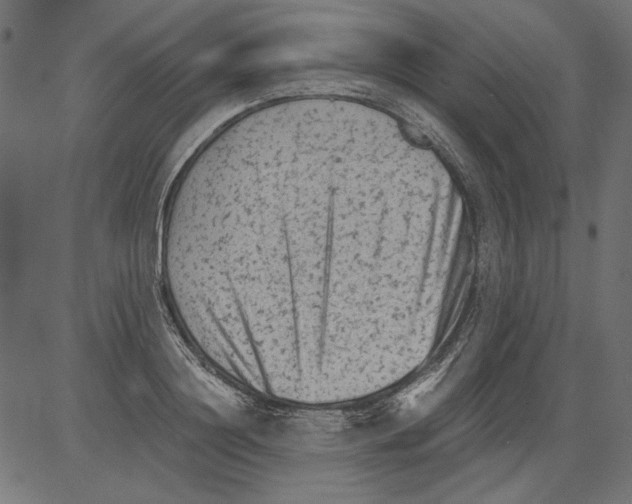 X0000081390844200702020253