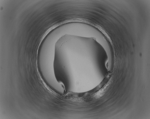 X0000081390845200702020253