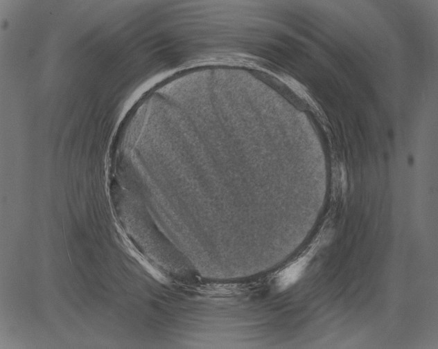 X0000081390846200702020253