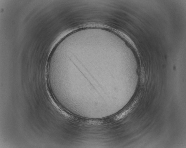 X0000081390847200702020253