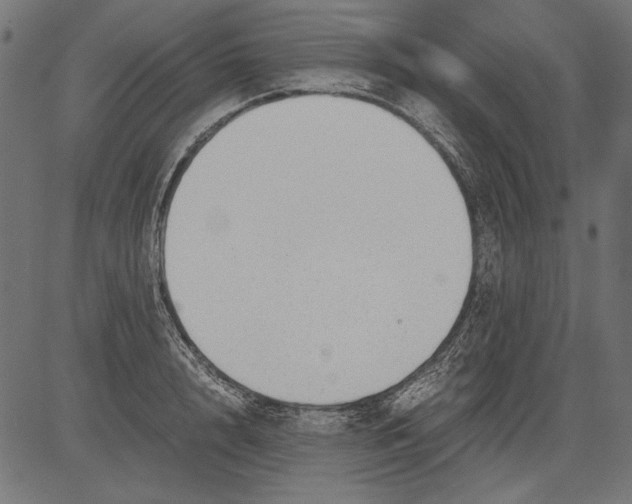 X0000081390848200702020253