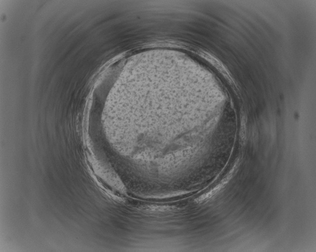 X0000081390849200702020253