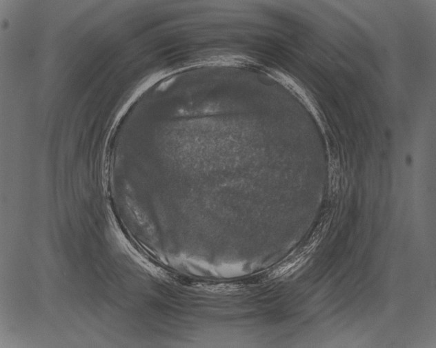 X0000081390851200702020253