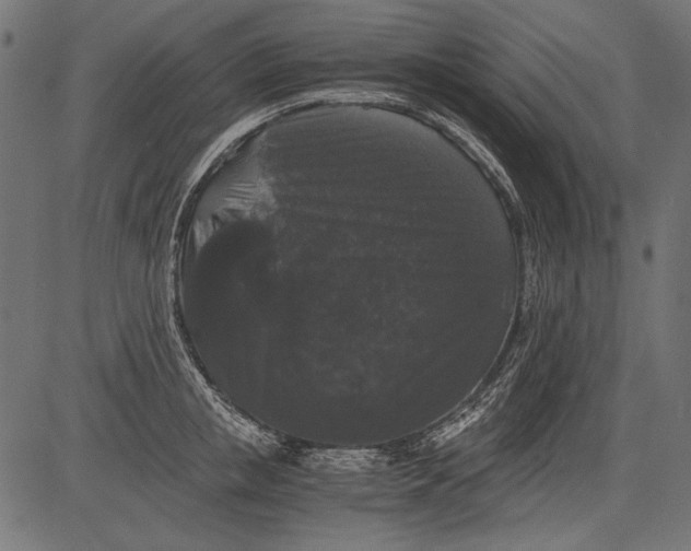 X0000081390853200702020253