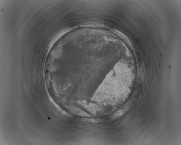 X0000081390855200702020253