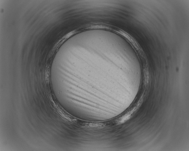 X0000081390857200702020253