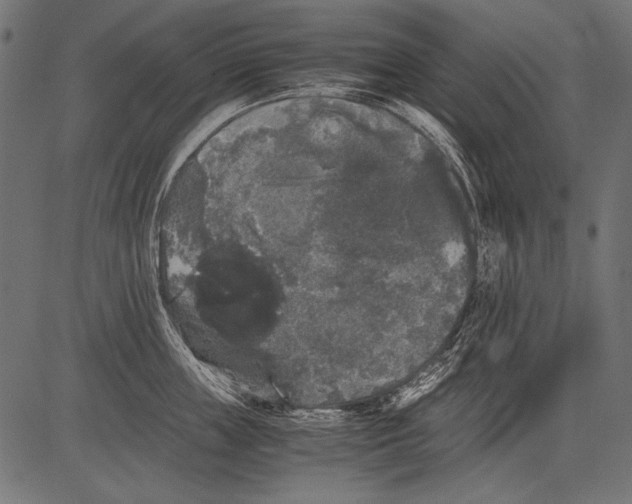 X0000081390859200702020253