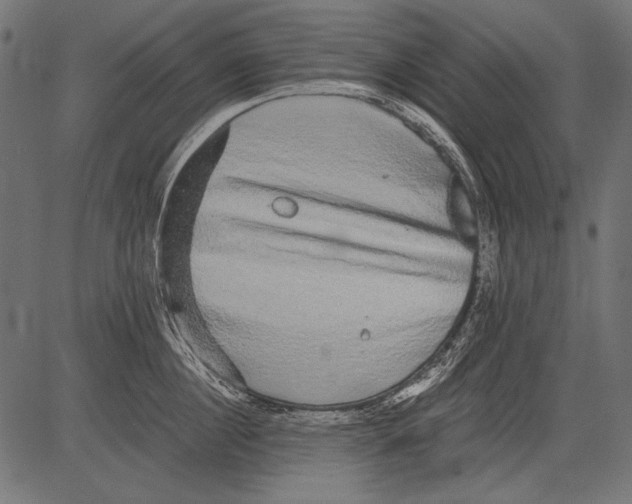 X0000081390860200702020253