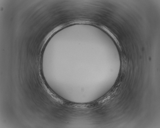 X0000081390861200702020253