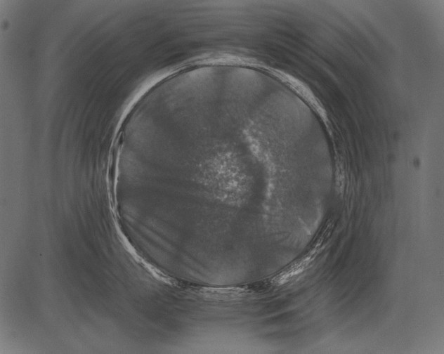 X0000081390863200702020254