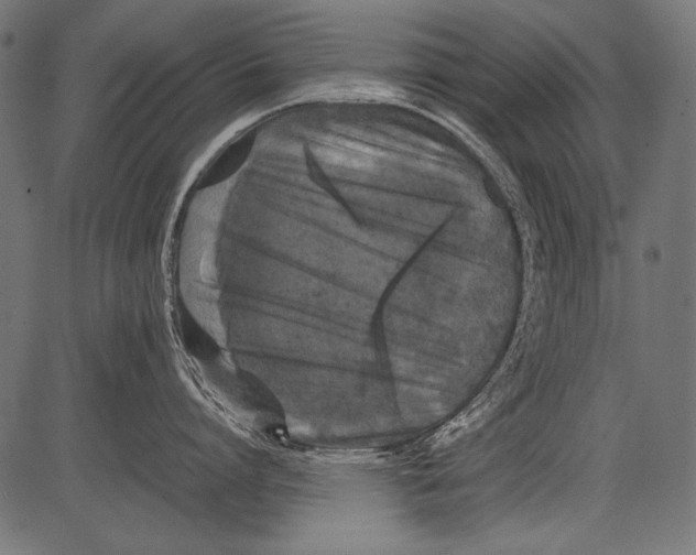 X0000081390864200702020254