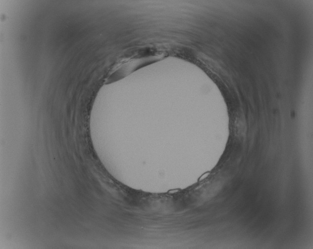 X0000081390865200702020253