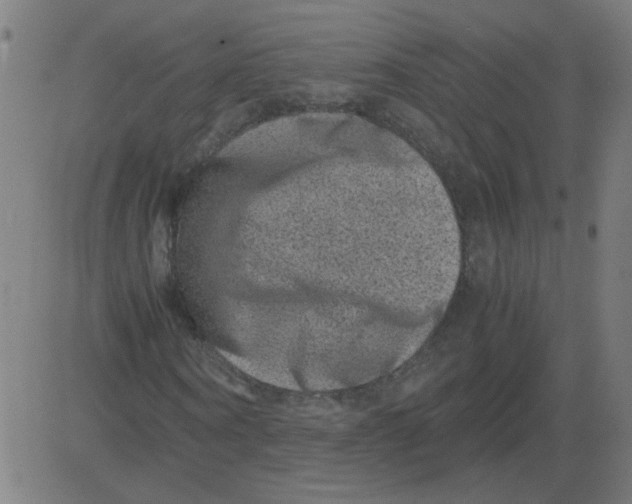 X0000081390866200702020253