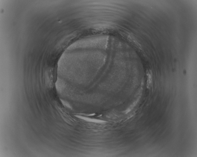 X0000081390868200702020253