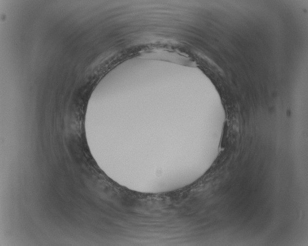 X0000081390869200702020253