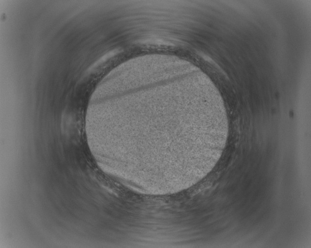 X0000081390870200702020253