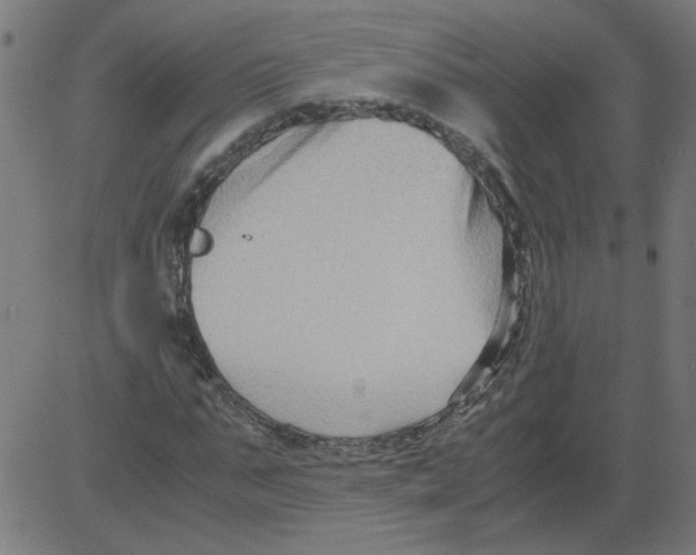 X0000081390871200702020253