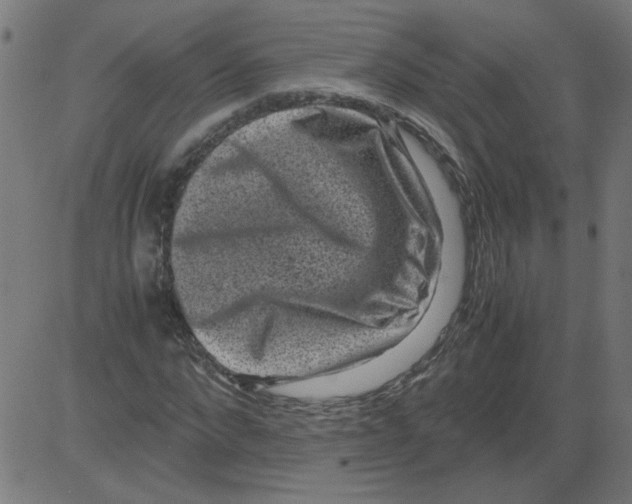 X0000081390872200702020253