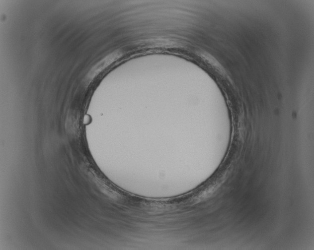 X0000081390873200702020253