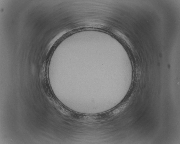 X0000081390875200702020253