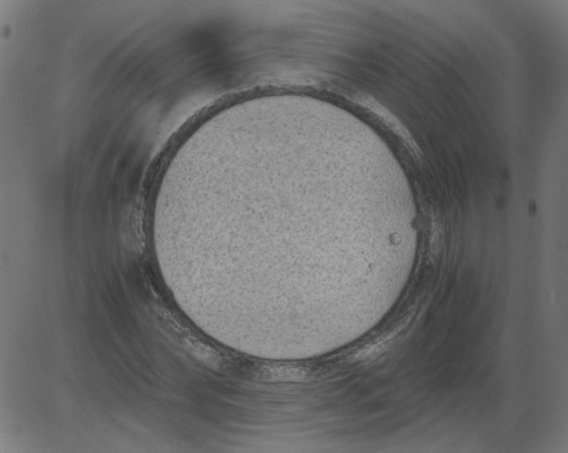 X0000081390878200702020253