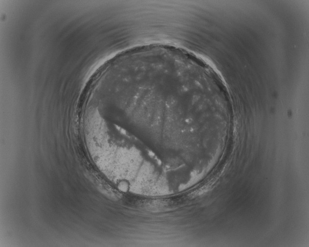 X0000081390879200702020253