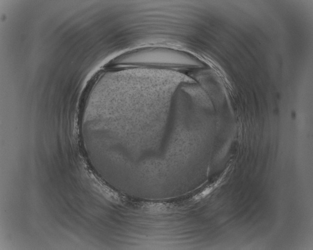 X0000081390880200702020253