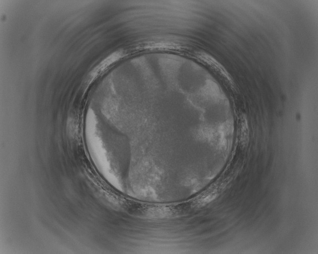 X0000081390882200702020252