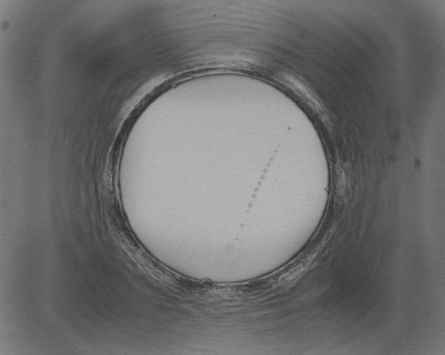 X0000081390883200702020252