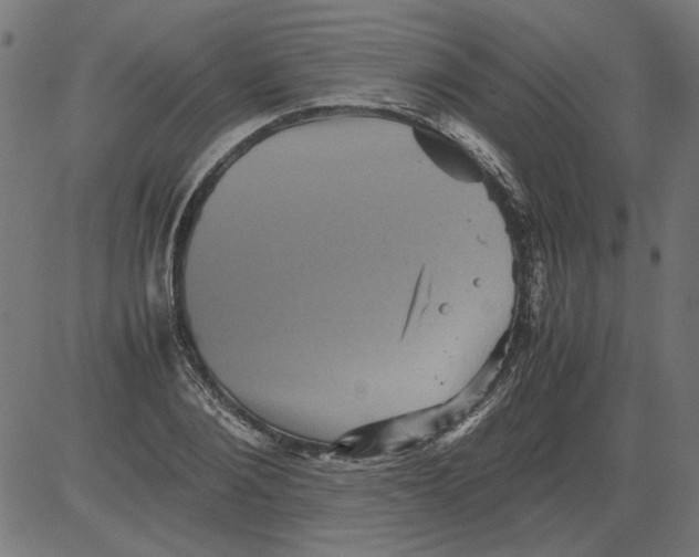 X0000081390884200702020252