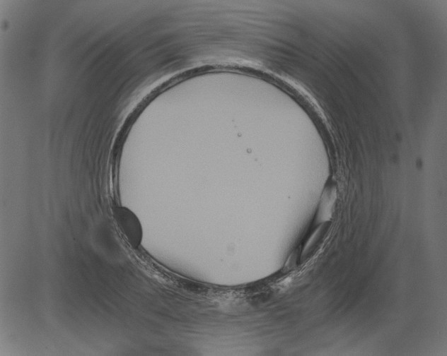 X0000081390887200702020252