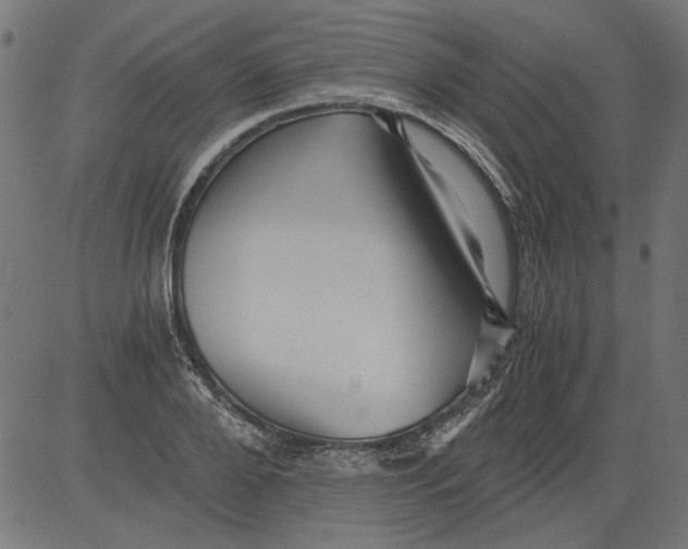 X0000081390888200702020252