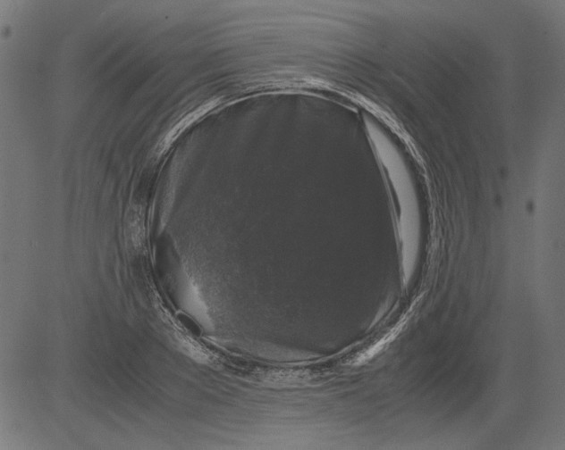 X0000081390889200702020252