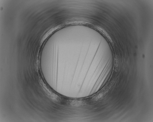 X0000081390890200702020252