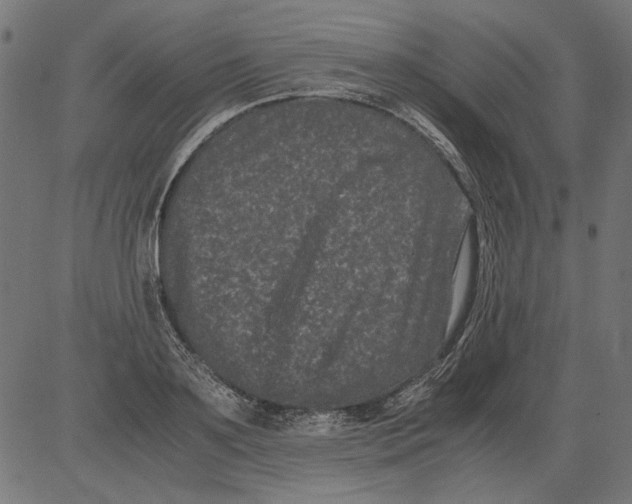 X0000081390891200702020252