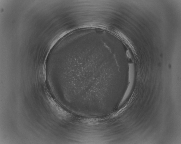 X0000081390892200702020252