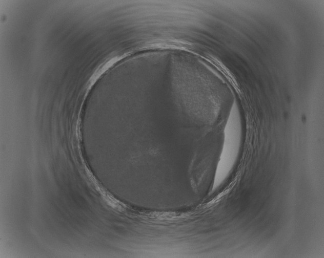 X0000081390893200702020252