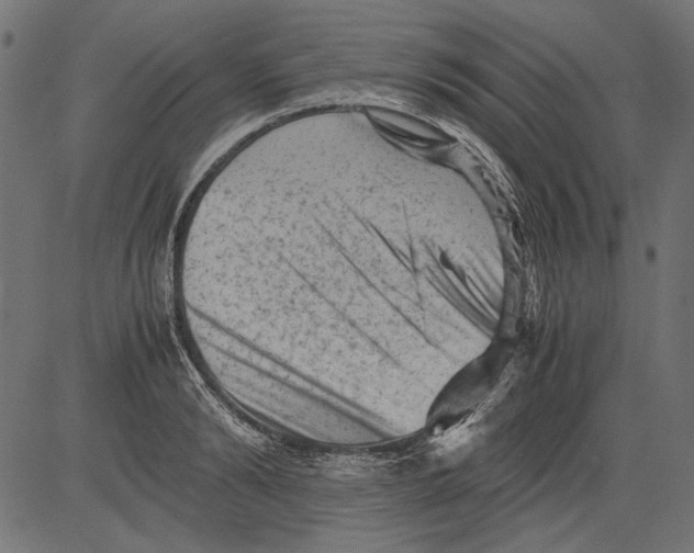 X0000081390894200702020252