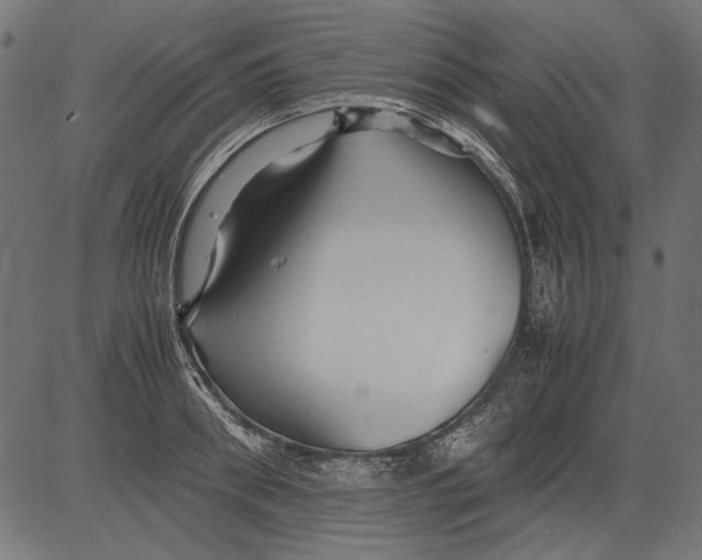 X0000081390898200702020252