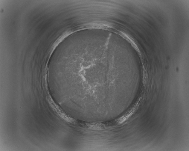 X0000081390899200702020252