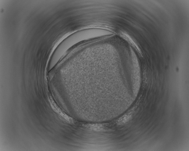 X0000081390900200702020252