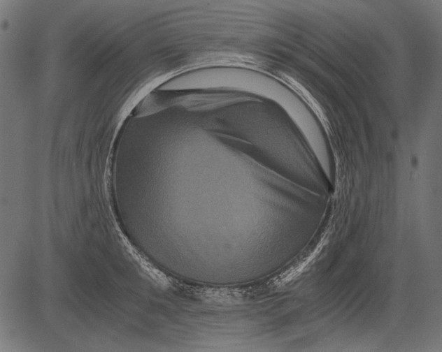 X0000081390901200702020252