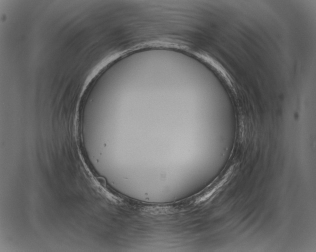 X0000081390902200702020252