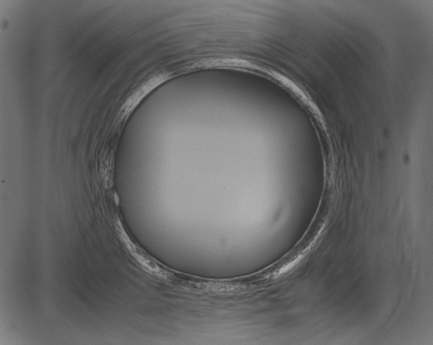 X0000081390905200702020252