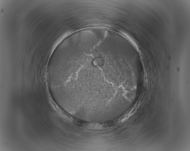 X0000081390907200702020252