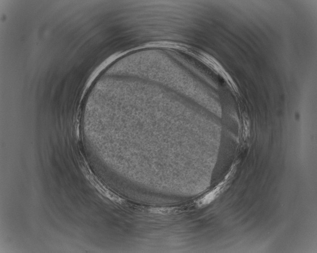 X0000081390908200702020252