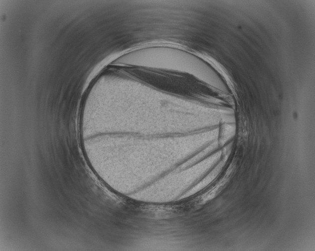 X0000081390910200702020252