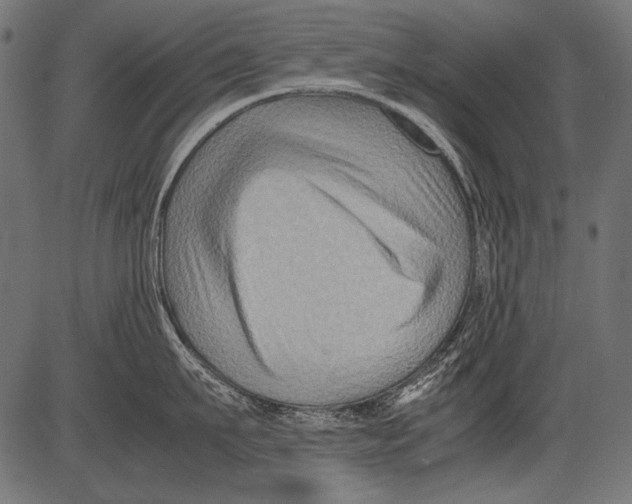 X0000081390911200702020252