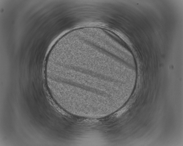 X0000081390912200702020252